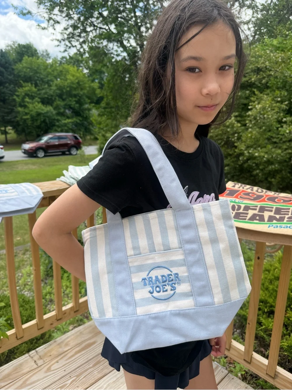 Pastel Stripe Canvas Tote Bag - Blue, Green, Pink Traderjoe tote brand new